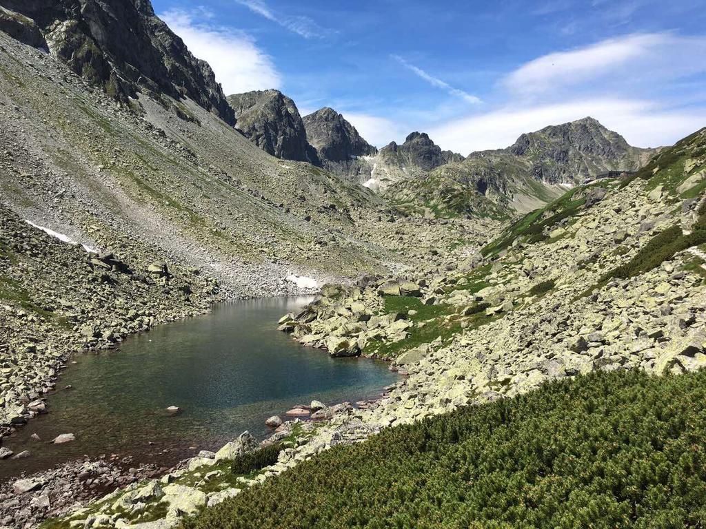 Villa Jasen Stará Lesná Exteriör bild