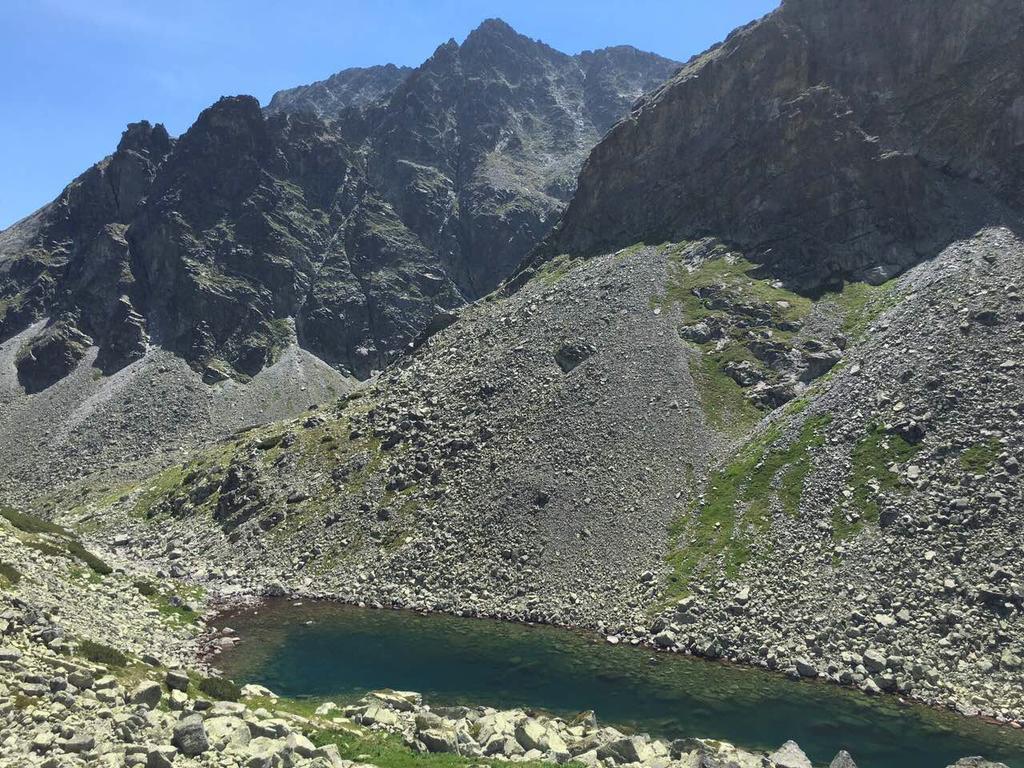 Villa Jasen Stará Lesná Exteriör bild
